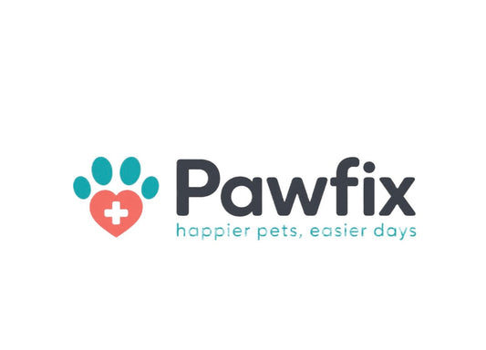 How Seasonal Changes Affect Your Pet’s Health